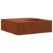 Cuptor de foc Maro 100 x 100 x 30 cm - WALTI WALTI