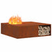 Cuptor de foc Maro 100 x 100 x 30 cm - WALTI WALTI