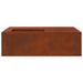 Cuptor de foc Maro 100 x 100 x 30 cm - WALTI WALTI