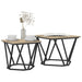 Set măsuțe laterale 2 pcs Stejar sonoma 50 x 50 x 40 cm - WALTI WALTI