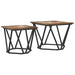 Set măsuțe laterale 2 pcs Stejar afumat 50 x 50 x 40 cm - WALTI WALTI