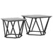 Set măsuțe laterale 2 pcs sonoma gri 50 x 50 x 40 cm - WALTI WALTI