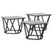 Masă de cafea 3 pcs sonoma gri 50 x 50 x 40 cm - WALTI WALTI