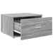 Dulap cu sertare cu roata Gri 55 x 45 x 33.5 cm Lemn compozit - WALTI WALTI