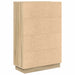 Birou cu ușă Stejar sonoma 71.5 x 31.5 x 106.5 cm Lemn compozit - WALTI WALTI