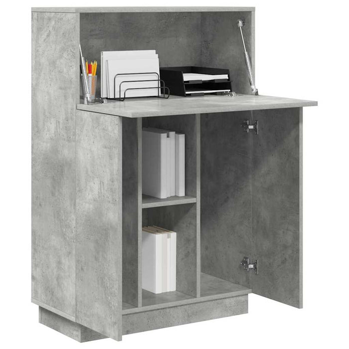 Birou cu raft cu ușă Gri 71.5 x 31.5 x 106.5 cm Lemn compozit - WALTI WALTI