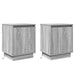 Dulap de noapte 2 pcs Gri 39 x 34,5 x 50 cm Lemn compozit - WALTI WALTI