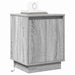 Dulap de noapte 2 pcs Gri 39 x 34,5 x 50 cm Lemn compozit - WALTI WALTI