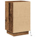Dulap de noapte Lemn vechi 39 x 34,5 x 65 cm Lemn compozit - WALTI WALTI