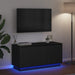 Cabinet TV cu LED Stejar negru 100 x 38 x 49 cm Lemn compozit - WALTI WALTI
