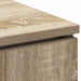 Cabinet TV cu LED Stejar sonoma 100 x 38 x 49 cm Lemn compozit - WALTI WALTI