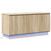 Cabinet TV cu LED Stejar sonoma 100 x 38 x 49 cm Lemn compozit - WALTI WALTI