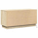 Cabinet TV cu LED Stejar sonoma 100 x 38 x 49 cm Lemn compozit - WALTI WALTI