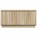 Cabinet TV cu LED Stejar sonoma 100 x 38 x 49 cm Lemn compozit - WALTI WALTI