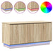 Cabinet TV cu LED Stejar sonoma 100 x 38 x 49 cm Lemn compozit - WALTI WALTI