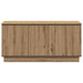 Cabinet TV cu LED stejar artizanal 100 x 38 x 49 cm - WALTI WALTI