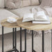 Set măsuțe laterale 2 pcs Stejar Sonoma și Negru - WALTI WALTI