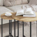 Set măsuțe laterale 2 pcs Stejar Artisan și Negru - WALTI WALTI