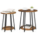Set măsuțe laterale 2 pcs Lemn vechi și Negru 50 x 50 x 51 cm - WALTI WALTI