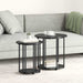 Set măsuțe laterale 2 pcs Stejar negru 50 x 50 x 50.5 cm - WALTI WALTI