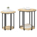 Set măsuțe laterale cu raft 2 pcs Stejar Sonoma și Negru - WALTI WALTI