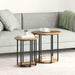 Set măsuțe laterale 2 pcs Lemn vechi și Negru 50 x 50 x 50.5 cm - WALTI WALTI