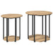 Set măsuțe laterale cu raft 2 pcs Stejar Artisan și Negru - WALTI WALTI