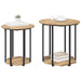 Set măsuțe laterale cu raft 2 pcs Stejar Artisan și Negru - WALTI WALTI