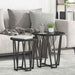 Set măsuțe laterale 2 pcs Stejar negru 50 x 50 x 50.5 cm - WALTI WALTI