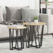 Set măsuțe laterale 2 pcs Stejar Sonoma și Negru - WALTI WALTI