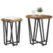 Set măsuțe laterale 2 pcs Stejar afumat și Negru - WALTI WALTI