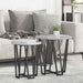 Set măsuțe laterale 2 pcs Gri sonoma și Negru 50 x 50 x 50.5 cm - WALTI WALTI