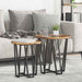 Set măsuțe laterale 2 pcs Lemn vechi și Negru 50 x 50 x 50.5 cm - WALTI WALTI
