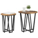 Set măsuțe laterale 2 pcs Lemn vechi și Negru 50 x 50 x 50.5 cm - WALTI WALTI