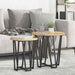 Set măsuțe laterale 2 pcs Stejar Artisan și Negru - WALTI WALTI