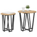 Set măsuțe laterale 2 pcs Stejar Artisan și Negru - WALTI WALTI