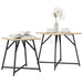 Set măsuțe laterale 2 pcs Stejar Sonoma și Negru - WALTI WALTI