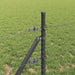 Stâlp de gard. Gri 10 x 0,8 m (plasă de 36 mm) Oțel și PVC - WALTI WALTI