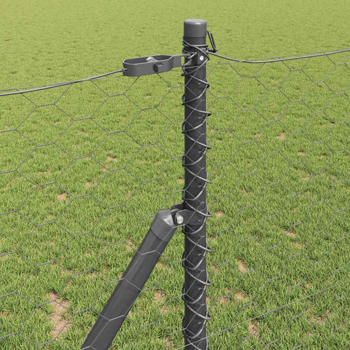 Stâlp de gard. Gri 25 x 1 m (plasă de 50 mm) Oțel - WALTI WALTI