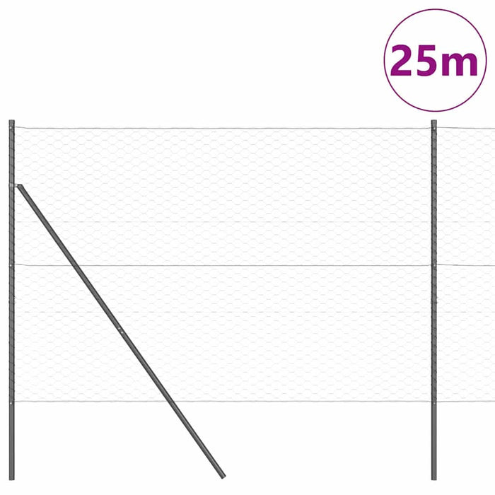 Stâlp de gard. Gri 25 x 1,5 m (plasă de 50 mm) Oțel - WALTI WALTI