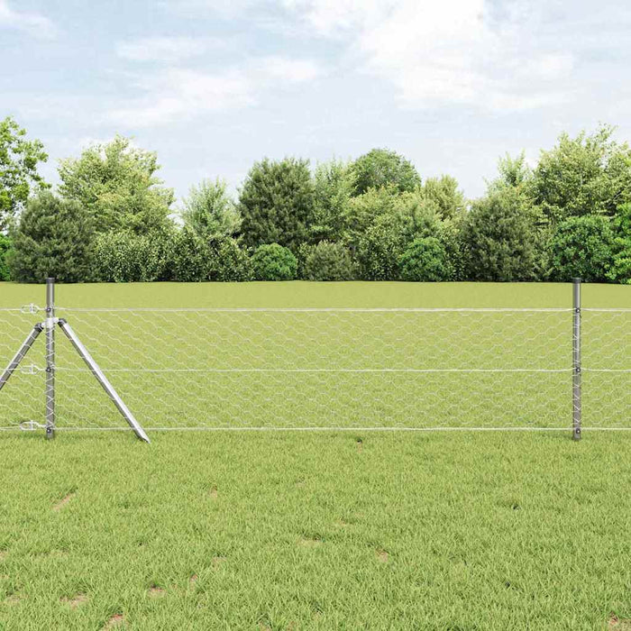Stâlp de gard. Argintiu 50 x 0,5 m (plasă de 50 mm) Oțel - WALTI WALTI