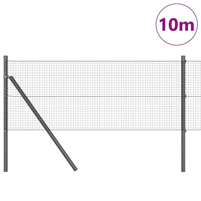 Stâlp de gard. Gri 10 x 0,5 m (rulou de plasă 19 x 19 mm) Oțel - WALTI WALTI