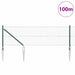 Stâlp de gard. Verde 100 x 0,6 m (plasă 25 x 25 mm) Oțel și PVC - WALTI WALTI