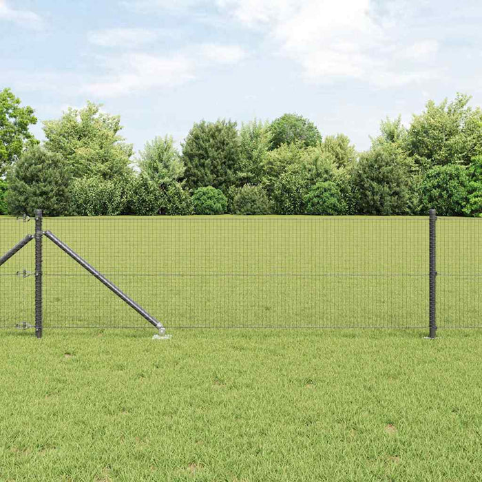 Stâlp de gard. Gri 50 x 0,5 m ( plasă 19 x 19 mm) Oțel și PVC - WALTI WALTI