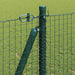 Stâlp de gard. Verde 25 x 1,2 m (25 x 25 mm plasă) Oțel și PVC - WALTI WALTI