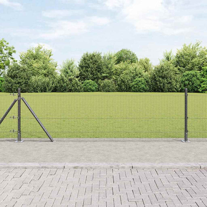 Stâlp de gard. Gri 10 x 0,5 m (rulou de plasă 19 x 19 mm) Oțel - WALTI WALTI