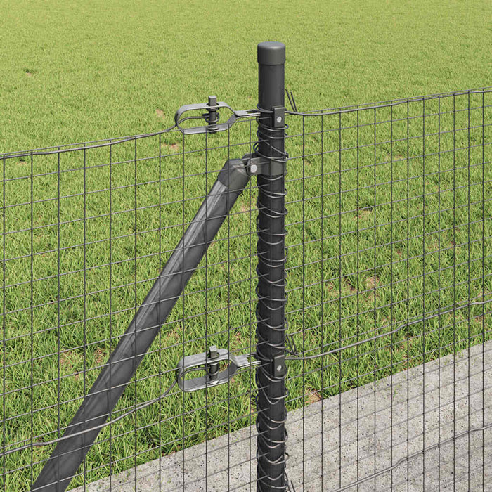 Stâlp de gard. Gri 25 x 0,5 m (plasă 25 x 25 mm) Oțel - WALTI WALTI