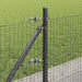 Stâlp de gard. Gri 25 x 0,6 m (plasă de 25 x 25 mm) Oțel și PVC - WALTI WALTI