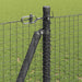 Stâlp de gard. Gri 25 x 1,2 m (25 x 25 mm plasă) Oțel și PVC - WALTI WALTI