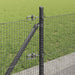 Stâlp de gard. Gri 50 x 0,4 m (plasă 16 x 16 mm) Oțel și PVC - WALTI WALTI